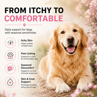 Complément alimentaire pour animaux de compagnie en gros : Friandises à mâcher molles pour chiens contre les allergies, avec colostrum et quercétine pour le soutien des sensibilités saisonnières (OEM)