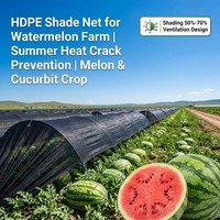 Toile d'ombrage intérieure en HDPE pour serre, contrôle de la température et de l'humidité pour concombres, laitues et culture hydroponique