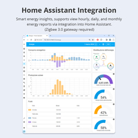 Produk Rumah Pintar Zemismart Meteran Energi Mini 3 Fase 63A Zigbee 3.0 Pemantauan Real-time Zigbee2mqtt Bekerja dengan Home Assistant