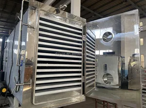 Commercial 5 10 15 20 30 35 100Kg Food Celery Fruits Vegetable Dryer Vacuum Freeze Lyophilizer Dried Drying Machine