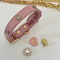 Collier pour chien en cuir pour les promenades quotidiennes et les séances photo avec breloques magnétiques et boucle dorée pour chiens de petite et moyenne taille