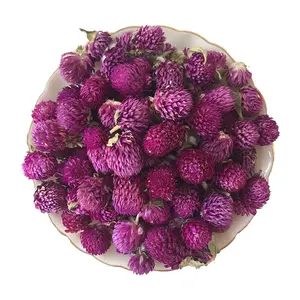 花茶紫グローブアマランス乾燥ゴンフレナ