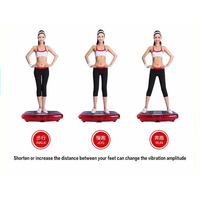 2025 vente d'usine 4D plaque de Vibration corps entier exercice Machine plate-forme de Vibration Premium