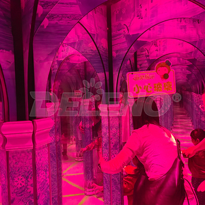 Équipement de parc d'attractions au prix d'usine, jeux de carnaval intérieurs pour enfants et adultes, labyrinthe de miroirs magiques à vendre - Product Image 5