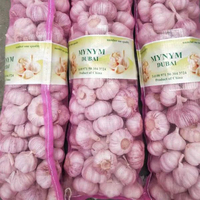 Importateurs d'ail en vrac chinois à Dubaï de qualité alimentaire avec 10kg 20kg d'ail