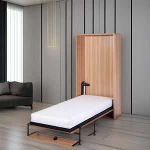 Mécanisme de lit mural Vertical, argent, design simple pour gagner de l'espace - Product Image 1