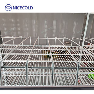 Étagères en acier galvanisé sur mesure pour <span class=keywords><strong>cave</strong></span> à bière, étagères en fil métallique revêtu de plastique pour chambre froide - Product Image 4