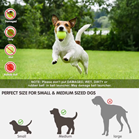 A01 AFP Nouveauté : Lanceur de balles interactif pour chien, lanceur automatique de balles de tennis électrique pour animaux de compagnie, jouet pour chien, vente en gros