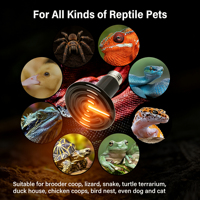 Accesorios para Reptiles, Emisor de Calor de Cerámica, Bombillas de Calor para Reptiles, Lámpara de Calor de Cerámica de 110V 220V para Reptiles y Anfibios