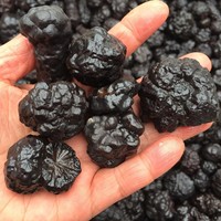Météorite noire Carbonado Minerales spécimen prophétie pierre manganèse nodule pierre brute gemme cristal naturel minerai météorites de fer