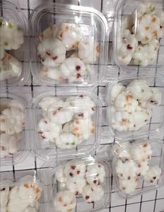 경량 강아지 일회용 그릇 6.9 X 6.9 인치 적층 가능 사각형 열성형 플라스틱 박스 뚜껑 포함 - Product Image 6