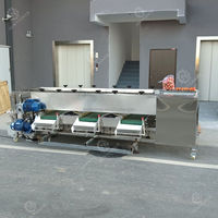 Automatische Fruitgroenteverwerkingsmachine Voor Sorteermachines Voor Het Sorteren Van Kersenformaat Sorteermachine