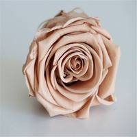 Mawar Asli Awet Berkualitas Mewah Fleksibel Tahan Lama Warna Sesuai Pesanan 50 Pcs MOQ D4.5-5cm Merek YAGELI Valentine/Ulang Tahun Lainnya