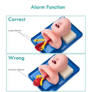Model Pengajaran Manikin Intubasi Bayi Baru Lahir Simulasi Intubasi Trakea Hidung Oral Trainer Manajemen Jalur Napas untuk Demonstrasi - Product Image 2