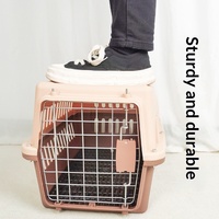 Caisse de transport rectangulaire personnalisée PT002 pour animaux de compagnie, type capsule spatiale portable pour chat, enclos pour chien, transport aérien en extérieur