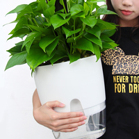 Vente en gros de pots à fleurs en plastique pour plantes succulentes, pots auto-arrosants, pots de jardin avec revêtement en poudre