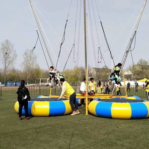 Bungee <strong>Trampoline</strong> <strong>for</strong> <strong>Sale</strong> Personal <strong>Trampoline</strong> - Product Image 2