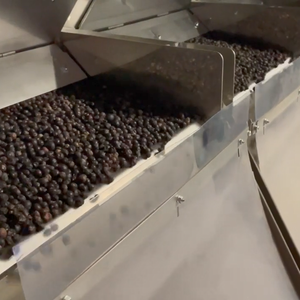 有機ジュニパーエッセンシャルオイルバルク価格工場1kg天然ジュニペルスコミュニベリー & リーフオイル100% 純粋非アルコール - Product Image 4