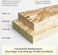 Panneau OSB3 (Oriented Strand Board) 4x8 pieds pour projets de modification de murs et de sols de maisons préfabriquées en conteneurs