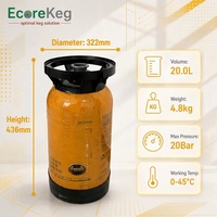 Fût à bière en plastique HDPE de 20 L, sans CO2 nécessaire, limite de pression de 15 bars, durée de conservation de 12 mois, ensemble économique Ecorekeg pour la brasserie artisanale