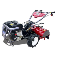 Motoculteur Compact Agricole Professionnel et Domestique, Mini-Tracteur à Marche, Cultivateur
