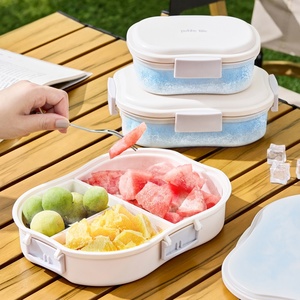 <b>Insulated</b> Fruit <b>Lunch</b> <b>Box</b> Plastic Leak Proof Cooler Container with Aluminum Foil for Fresh Fruit Salad Snack for Work Picnic - Product Image 1