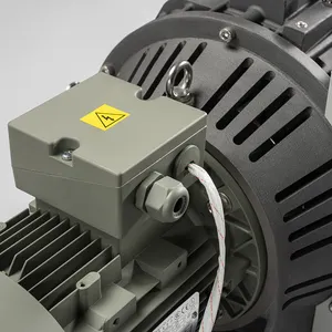 GWSP1000 Vacuum Coating Oil Free Ultra-high Scroll Pump
