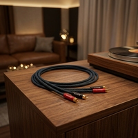 Kabel Audio RCA RASANTEK Premium 2M Male-Female Dual Lotus 24K Berlapis Emas Tembaga Murni Hi-Fi Rendah Kebisingan dengan Selubung PVC Tahan Lama