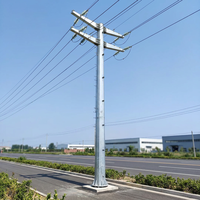 Tour de transmission monopôle en acier Shenghong SH-Power Line Towers, structure galvanisée à chaud, 550KV 630A haute tension, 8 puissances