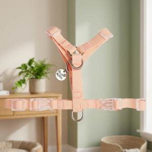 M Personalized Luxury Waterproof Pink <b>Dog</b> Harness Y Shaped with Fashionable Simple Style Breathable Reflective <b>Lights</b> PVC Coated - Product Image 3