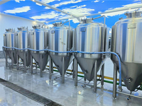 Unitank Fermenteur en Acier Inoxydable SUS304 5BBL 10BBL 15BBL 20BBL avec Chemise de Refroidissement et Contrôle PLC pour Brasserie Commerciale et Alcool