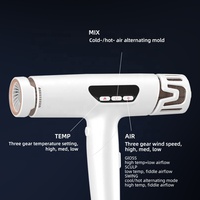 Sèche-cheveux professionnel léger à air chaud et froid, double tension, idéal pour les voyages internationaux (Marque Distributeur)