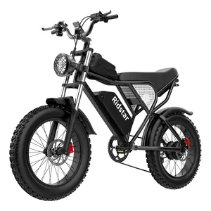 Bicicleta eléctrica para adultos, Ebike de 20 pulgadas con Motor de 1000W, batería extraíble de 48V y 20Ah, pantalla LCD