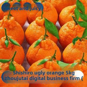 정통 3 학년 사천 익은 만다린 어글리 오렌지 슈퍼 달콤한 신선한 과일 비 Wo 만다린 물 대량 도매 - Product Image 2