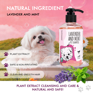Wholesale Price Customized <strong>Flea</strong> <strong>Tick</strong> Shampoo For <strong>Dogs</strong> Pet <strong>Dog</strong> Shampoo Natural Pet Shampoo Skin Problems Control Grooming - Product Image 4