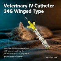 Cannule IV à ailettes de qualité médicale pour chatons (vétérinaire)
