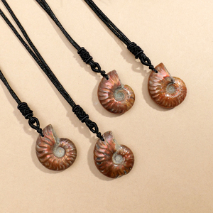 Bán Buôn Tinh Thể Tự Nhiên Madagascar Ammolite Hóa Thạch Mặt Dây Chuyền Nguyên Đá Ammonite Khoáng Sản Mẫu Vỏ Vòng Cổ - Product Image 6