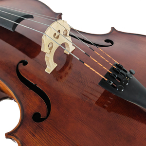 Đàn Cello Solo chuyên nghiệp thủ công cao cấp 4/4 dành cho nghệ sĩ chuyên nghiệp Liangzhiling D002, kèm hộp đựng sang trọng, lý tưởng cho các buổi biểu diễn ca nhạc. - Product Image 5