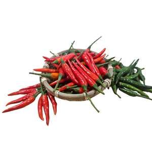Chili Peppers crudos frescos 30 kg/paquete Buen precio Fuentes asiáticas Servicio postventa agrícola de venta al por mayor vietnamita - Product Image 3
