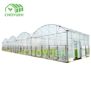 Multi-span greenhouse fully automatic glass greenhouse engineering agricultural with hydroponic system