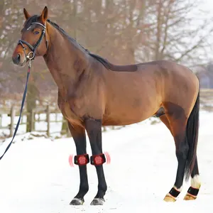 Thérapie par chevaux PDT 660nm 850nm equin therapi hors pour bottes de jambe de sabot led thérapie infrarouge