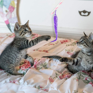 Ma Thuật Vui <span class=keywords><strong>Worm</strong></span> cho vui Bug Prop đồ chơi trẻ em trẻ em người mới bắt đầu wiggly <span class=keywords><strong>Twisty</strong></span> <span class=keywords><strong>Worm</strong></span> với chuỗi vô hình đường phố bên trò chơi - Product Image 2