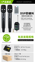 Microphone sans fil UHF portable à commande à distance DSP rechargeable haute puissance 2200 mAh en métal M510+N41 pour discours et karaoké
