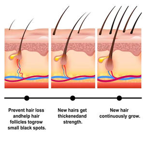 Siero in Fiale per Infoltimento Capelli con Peptidi e Saw Palmetto Infuso di Acido Ialuronico, Biologico e Vegano per la Crescita dei Capelli e del Cuoio Capelluto - Product Image 4