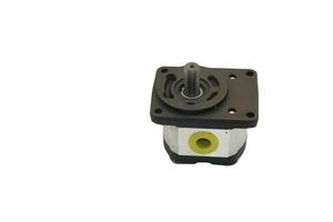 Piezas de equipo de excavadora AZPF-11-019 AZPF-1X-011 bomba de engranajes - Product Image 1