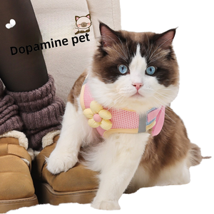 2025 הסיטונאי Fe סיטוני מחמד לרתום אפוד רעיית חתול לכלבים קטנים עיצוב הליכה - Product Image 3