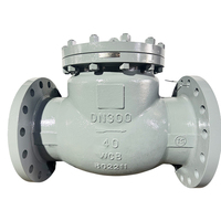 Katup Cek Industri API 6D WCB Berflens untuk Aplikasi Air/Gas/Minyak Ukuran Port 1 1/2in-36in