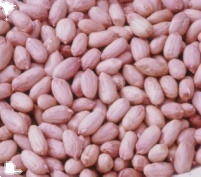 Nhà Máy Bán Hàng Trực Tiếp Đặc Biệt Hot Bán Số Lượng Lớn Da Đỏ Đậu Phộng Hạt Nhân Trung Quốc Nguyên Đậu Phộng Hạt Nhân Mà Không Có Vỏ - Product Image 6