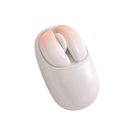 Nouvelle Souris Silencieuse 2026 Mini Souris Optique Ergonomique avec Rétroéclairage LED pour Ordinateur de Bureau et Gaming