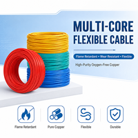 Fil de cuivre massif durable 10 AWG isolé en PVC 750V avec indice de protection IP44 pour câblage électrique extérieur et souterrain